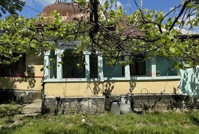 Casa de vanzare ! - 3