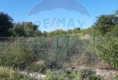 Teren 1856 mp la DJ504A, Draghiceanu - zona linistita - 6