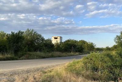 Corbeanca - Tamasi, intravilan, 16562 mp, deschidere 93 m, rezidential - 1