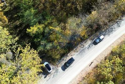 TEREN INTRAVILAN IN PADURE LA VARBILA - PRAHOVA COMISION 0% - 2