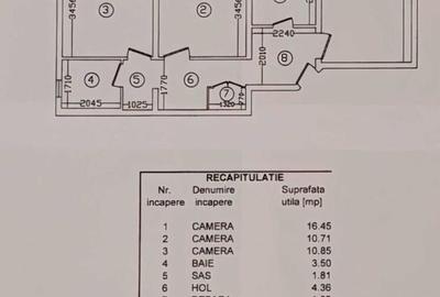 Apartament cu 3 camere decomandat, mobilat în Nicolae Grigorescu - 8