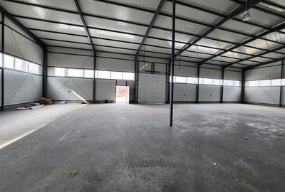 Spațiu industrial, de 500 mp, în Central - 10