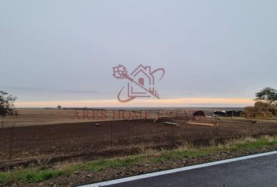 Teren 910 mp cu casa veche – Seceani - 30 km de Timișoara - 4