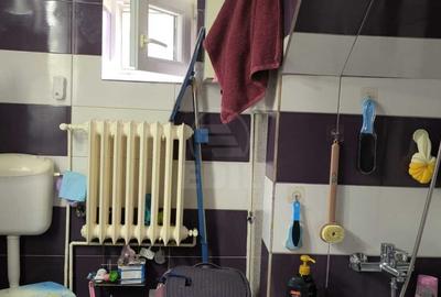Casă de vânzare, 3 camere, 2 băi, 108 mp Dâmbu Rotund Maramureșului - 5