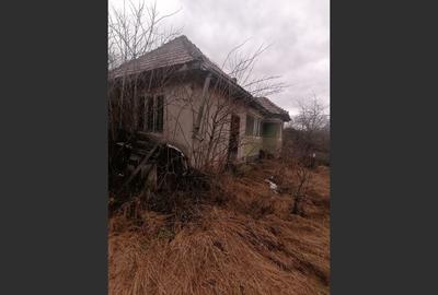 Casă cu 3 camere cu Teren 3040 Mp în Ceanu Mic - 3