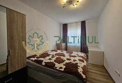 Apartament cu 3 camere decomandat, mobilat în Piața Cluj - 7
