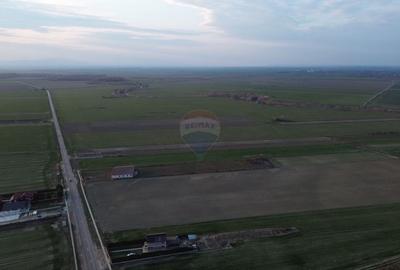 Teren Construcții intravilan de 12360 mp, în Boțârlău - 7