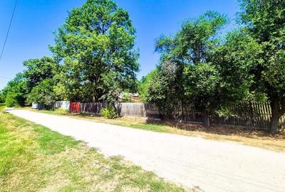 Teren de 3200 mp, în Urlueni - 15