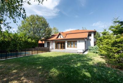 Vanzare Vila cu piscina Iancu Nicolae - 28