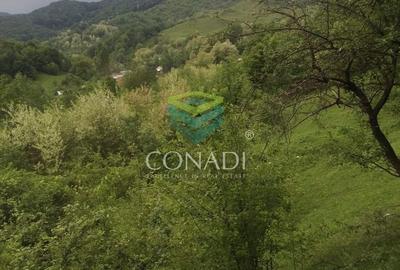 Teren Construcții intravilan de 800 mp, în Exterior Vest - 6