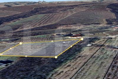 Spațiu comercial, în Plopu