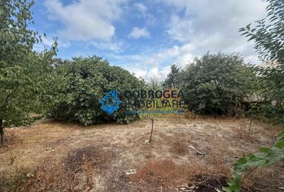 Casa batraneasca 229 mp + teren 675 mp, deschidere stradala - 3