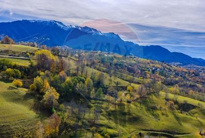 COMISION 0% Teren 1,000mp Sohodol/AC si proiect de casa valabil - 6