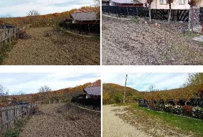Cota 1/8 Teren intravilan- Com. Calinesti, jud. Arges - 1