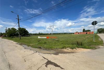 Teren intravilan deosebit de in Marghita - 1