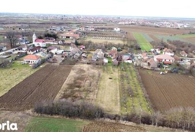 Casă cu 3 camere cu Teren 1850 Mp în Odoreu - 20