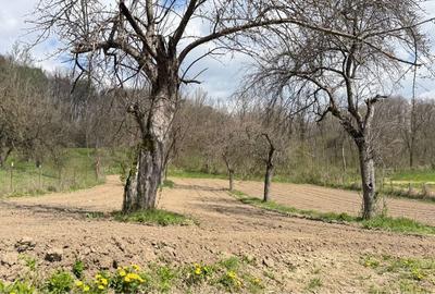 Casă cu 4 camere în Central - 6