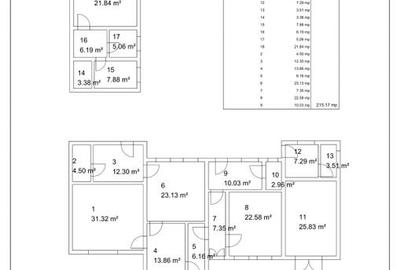 Casa individuala de vanzare - langa Maternitatea Bega - 17