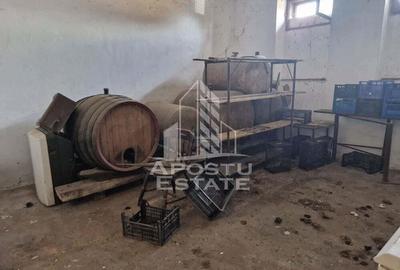 Casa individuala cu 3 camere ,teren 4222 mp in exclusivitate Dorobanti - 12