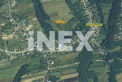 Teren de vanzare in Hintesti, comuna Mosoaia, Str. Principala - 1