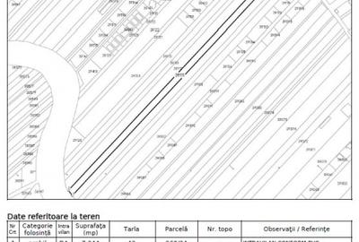JOITA LOT 7344 MP JOITA LOT 7344 MP - 6