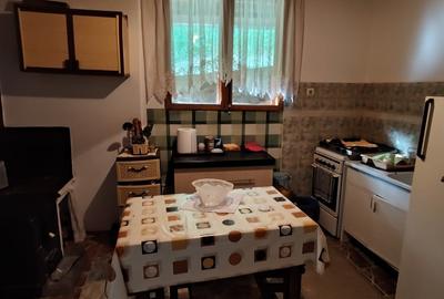 Casă individuală cu 5 camere cu Teren 3800 Mp în Furtunești - 6