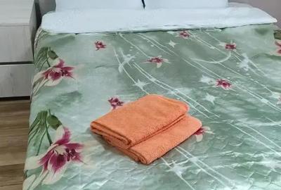 Ofer spre inchiriere Garsoniera in zona Crangasi - 5