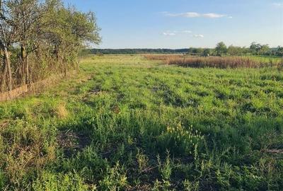 Spațiu comercial, în Apateu - 3