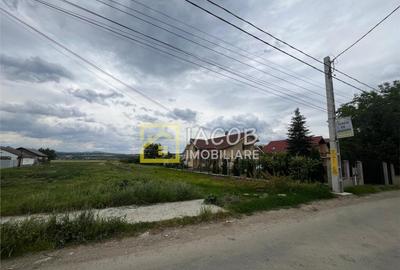 Teren intravilan Lilieci, Hemeius, Bacau - 4