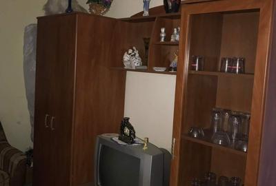 Apartament cu 2 camere decomandat în Beba Veche - 2