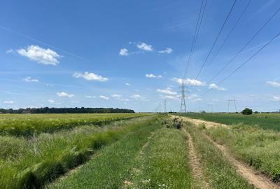 Teren Construcții intravilan de 400 mp, în Sud - 2