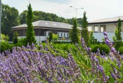 Oxford Gardens 7 bedrooms villa - december only price - 5