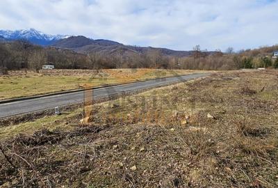 Teren agricol intravilan de 3200 mp, în Cheile Râșnoavei