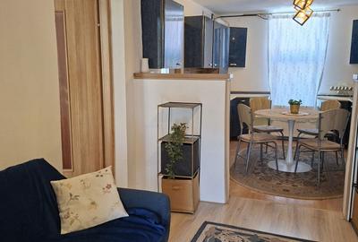 Casă cu 2 camere în Rudicica - 6