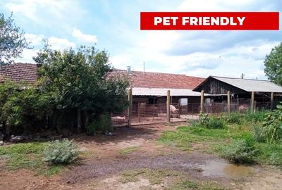 Grajd pentru animale in Nadlac - 9