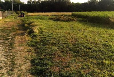 Spațiu comercial, în Țegheș - 4