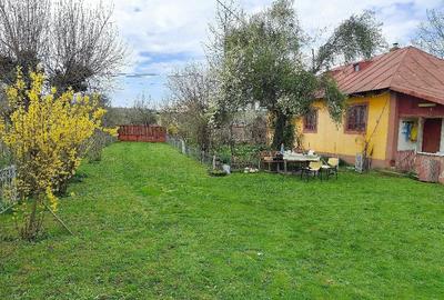 Casă cu 3 camere cu Teren 6100 Mp în Constantinești - 6