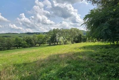 Teren, Albe?ti, str Podului - 8