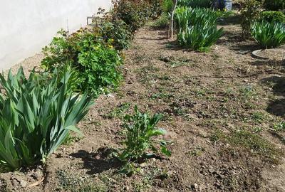 Casă cu 3 camere cu Canalizare în Macea - 9