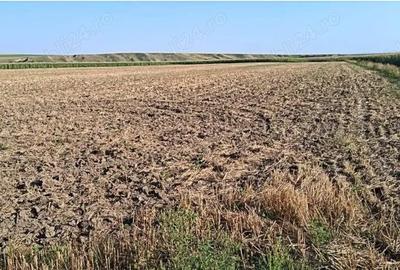 Teren de 7500 mp, în Valea Călugărească - 2
