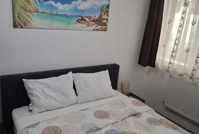 Apartament cu 2 camere semidecomandat în Mănăștur - 4