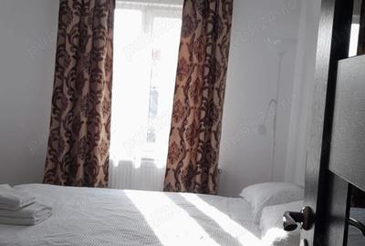 Vila+ teren de 2,2ha la 5 km de Vatra Dornei - 7