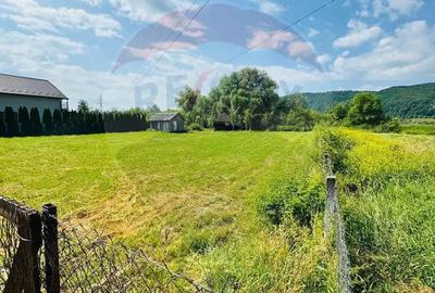 Teren 1,095mp Sighetu Marmatiei / Strada Faget Teren 1,095mp Sighetu Marmatiei / Strada Faget - 1