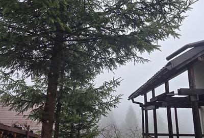 Casă cu 3 camere cu Teren 402 Mp în Bran - 3