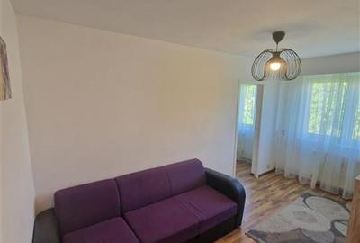 Apartament cu 2 camere semidecomandat, mobilat în Șagului - 7
