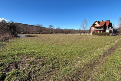 Spațiu comercial, în Călinești - 7