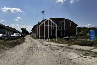 Teren Construcții intravilan de 16058 mp, în Țiglari - 6