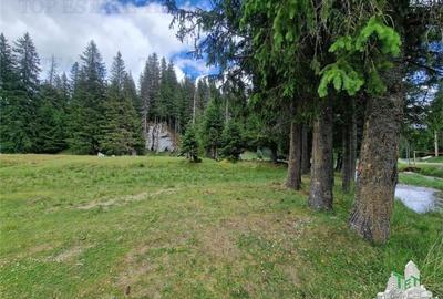 Teren intravilan de vanzare Padina/ Muntii Bucegi - 4