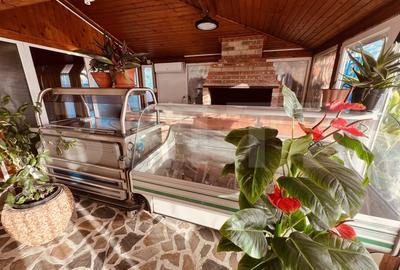 Preluare afacere - Complex Restaurant Popasul Lui Radu, Bradesti - 6