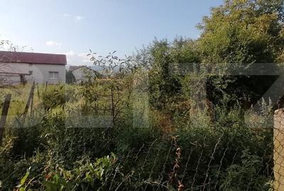 Casa 85 mp, 3 camere, baie 1000 mp teren, in Sard - 5